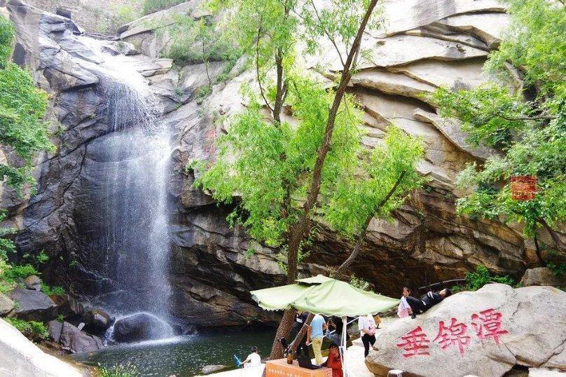 深圳交易集团有限公司龙岗分公司项目信息公告
