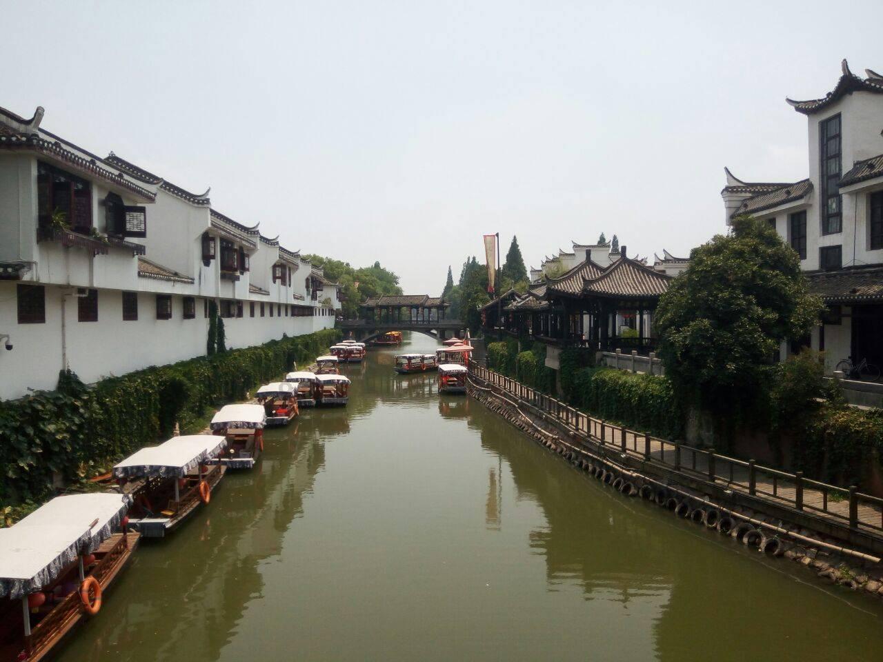 青蛙魔术师